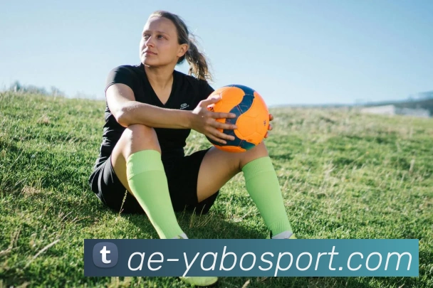 亚博足球平台生态图