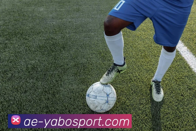 亚博足球APP 封面图