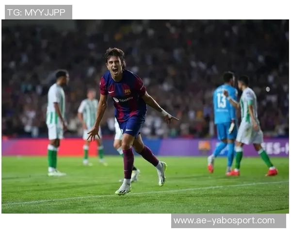 坎塞洛即将重返巴萨前队友菲利克斯在社交媒体点赞支持